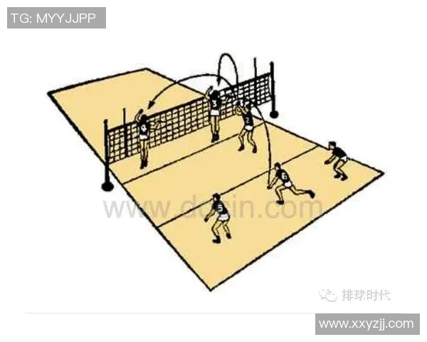 上海排球队阵地战解析：战术布局与球队表现的深度剖析