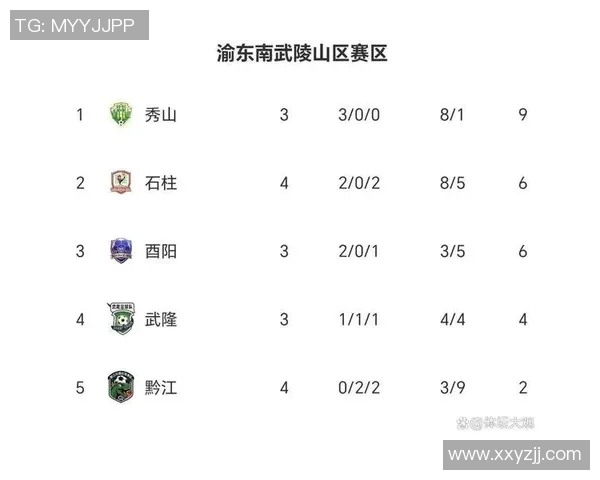 重庆网球队在钻石联赛积分榜上以67分稳居第一名展现强劲实力